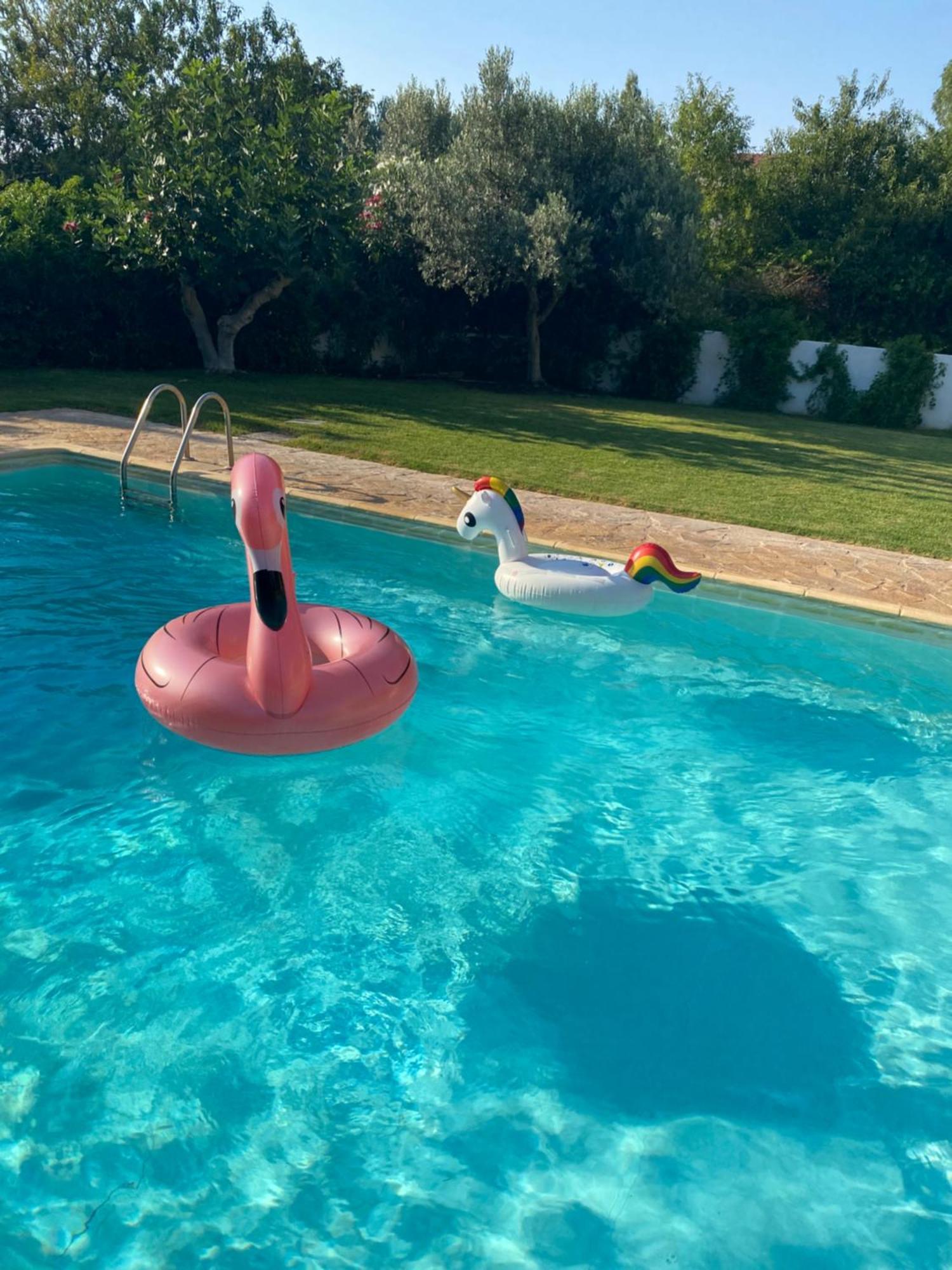 Relaxing Villa With Swimming Pool And Garden Agios Georgios  Екстер'єр фото