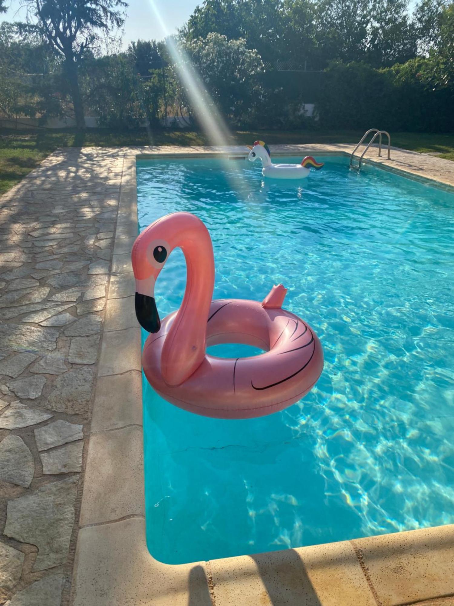 Relaxing Villa With Swimming Pool And Garden Agios Georgios  Екстер'єр фото