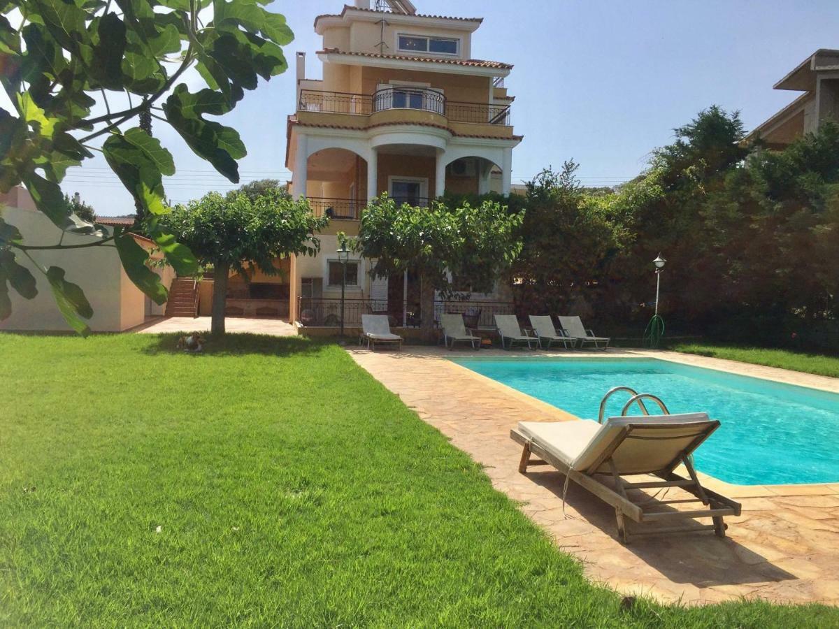 Relaxing Villa With Swimming Pool And Garden Agios Georgios  Екстер'єр фото