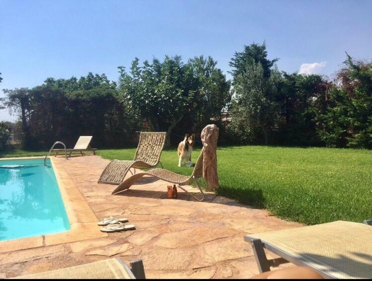Relaxing Villa With Swimming Pool And Garden Agios Georgios  Екстер'єр фото